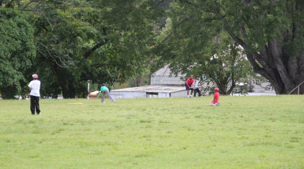 Cricket in the Botantical Gardens
